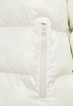 Nike Sportswear W Nsw Tf Synfl City Hd Jkt - Winter Jacket - Light Bone/Black 17 Nike Sportswear W Nsw Tf Synfl City Hd Jkt - Winter Jacket - Light Bone/Black -Fashion Shop ead6834305b544598856da519f63669a